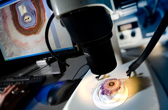 Alquiler microscopio