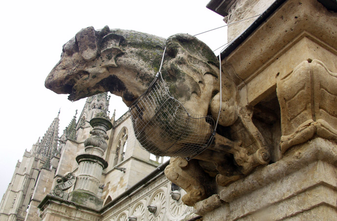 Restauración